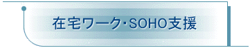 ݑ[NESOHOx